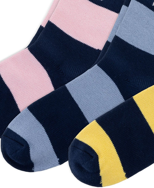 Men's Embroidered Polo Bear Sock Giftbox